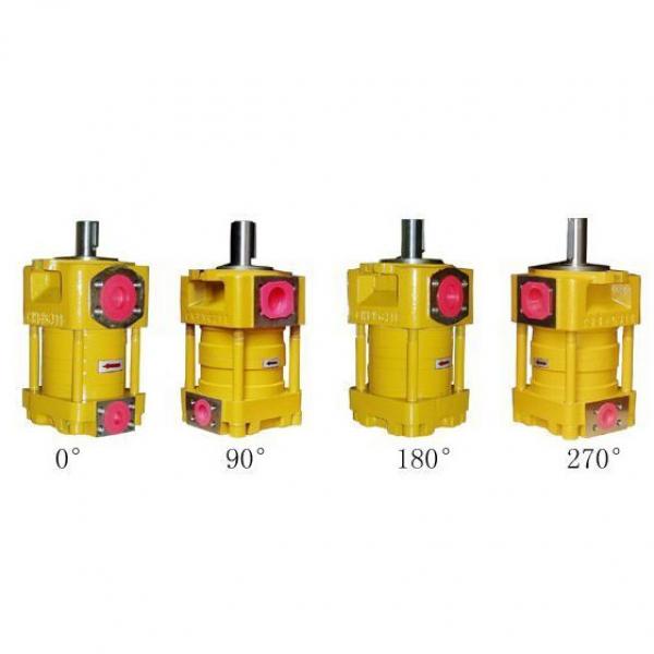 pump QT23 Series Gear Pump QT23-6.3-A #1 image